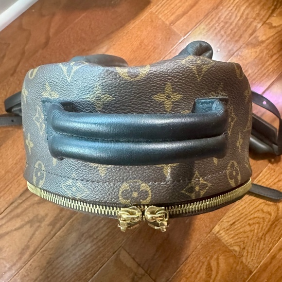 Louis Vuitton Palm Spring Backpack main image 5